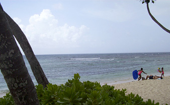 Pelican Cove condos on the beach are perfect for families!